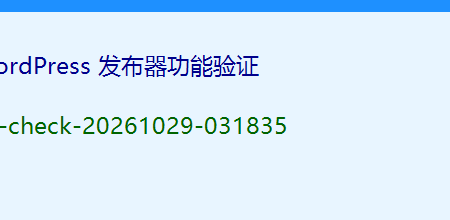 发布器功能验证 xq-check-20261029-031835 2
